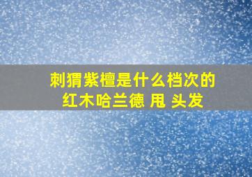 刺猬紫檀是什么档次的红木哈兰德 甩 头发